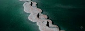 Trauma Transgeneracional: Cambiando el Curso